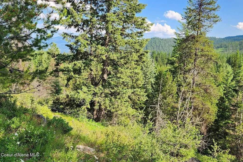 Nna Reeder Bay Road Nordman ID 83848