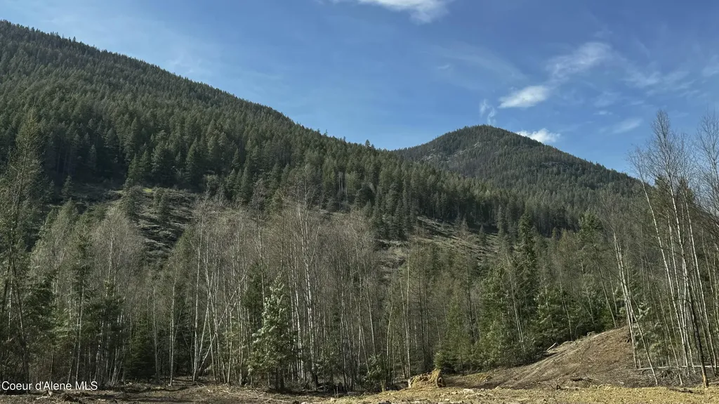 Nna Westside Road Parcel 7 Bonners Ferry ID 83805