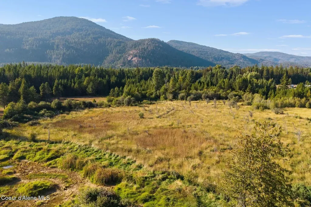 159 Horse Lane Sandpoint ID 83864