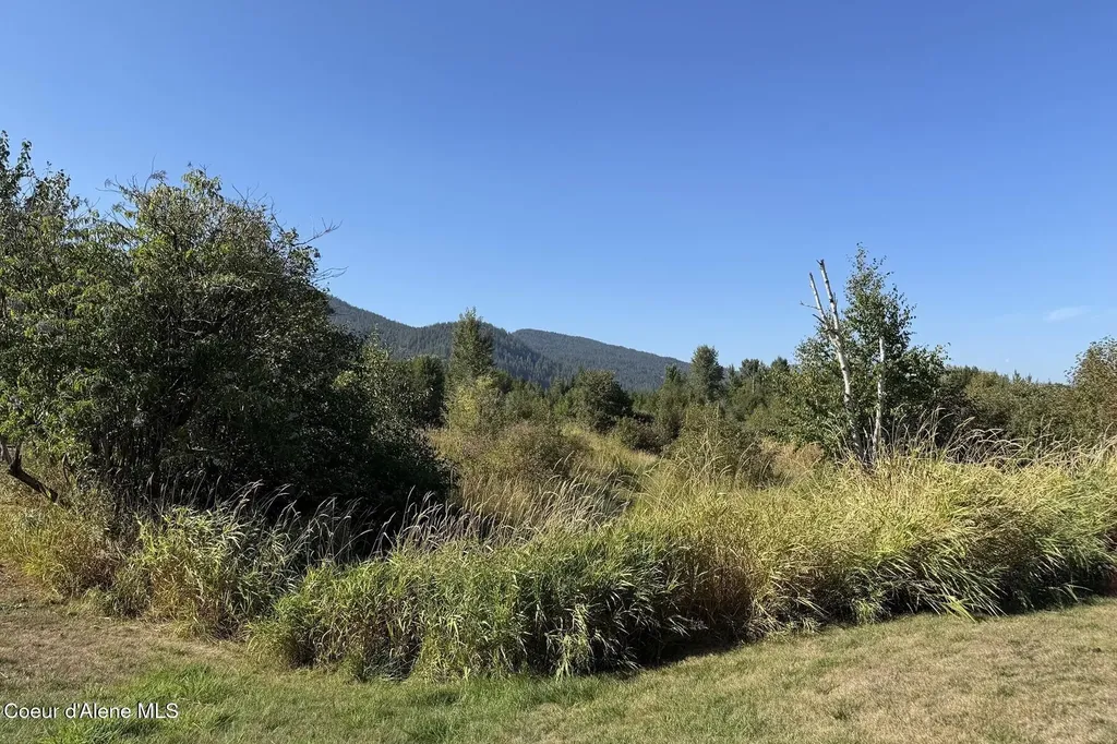 159 Horse Lane Sandpoint ID 83864