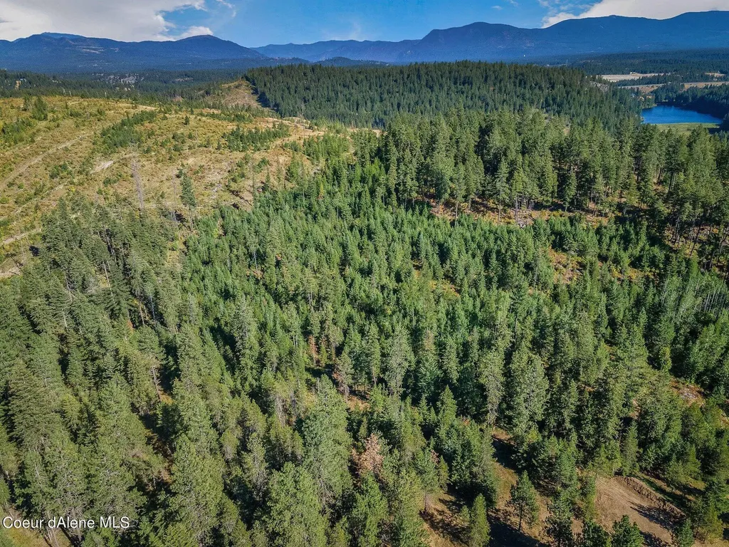 L1 Smokewood Drive Athol ID 83801