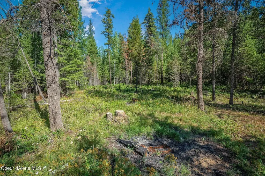 L1 Smokewood Drive Athol ID 83801