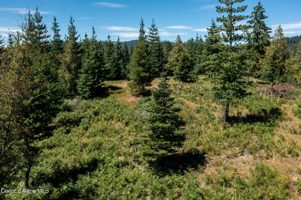 Nna Frosty Lane Lot I Pinehurst ID 83850
