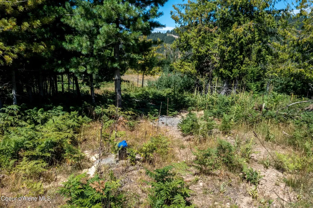 Nna Frosty Lane Lot I Pinehurst ID 83850