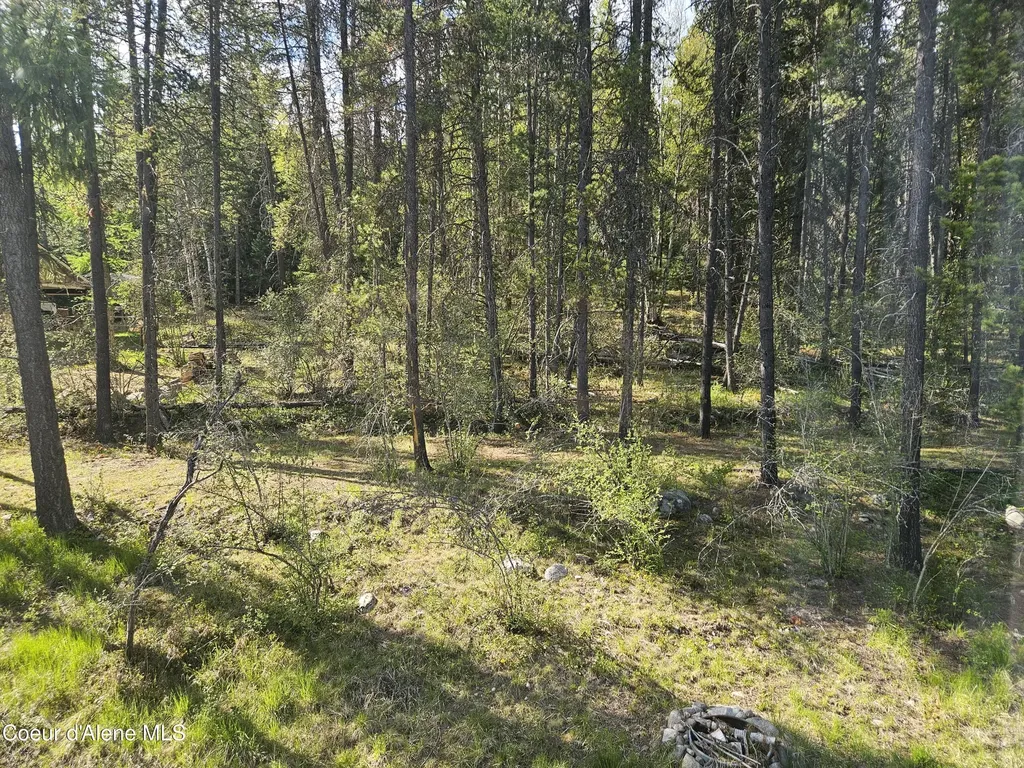 2571 Kalispell Bay Road Priest Lake ID 83856
