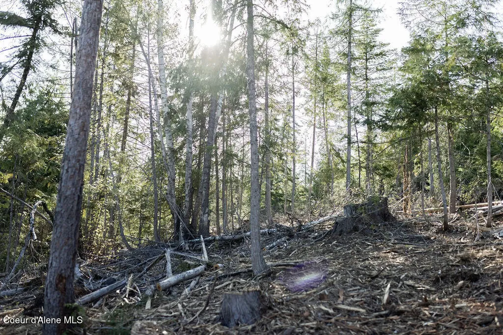 Nka Cresthaven Drive Sandpoint ID 83864