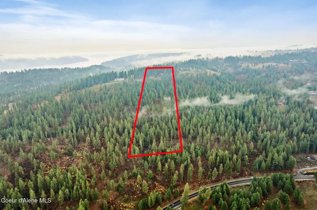 2094 E Driftwood Heights Drive Harrison ID 83833