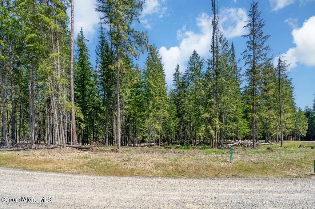 Lot 6 Brown Bear Drive Nordman ID 83848