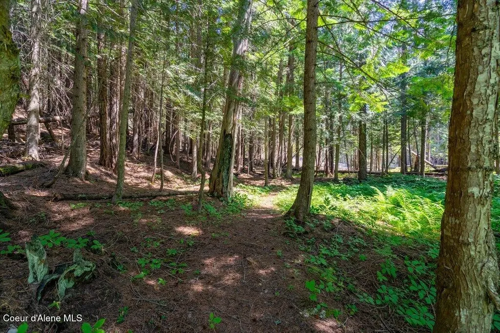 Lot 6 Brown Bear Drive Nordman ID 83848