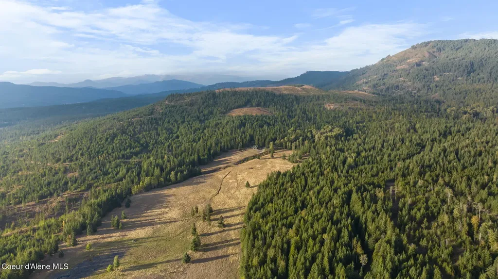 4575 Blacktail Road Careywood ID 83809