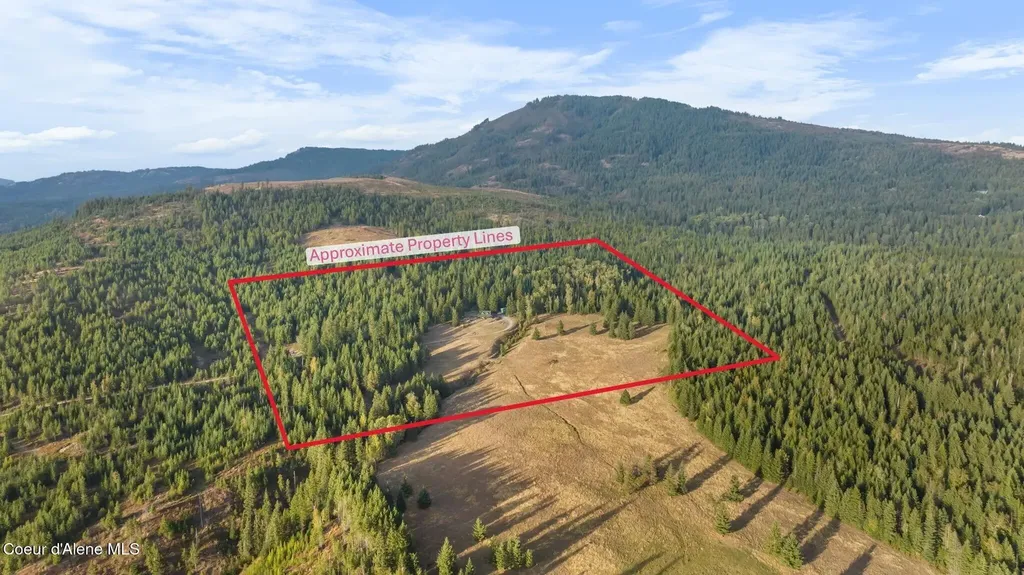 4575 Blacktail Road Careywood ID 83809