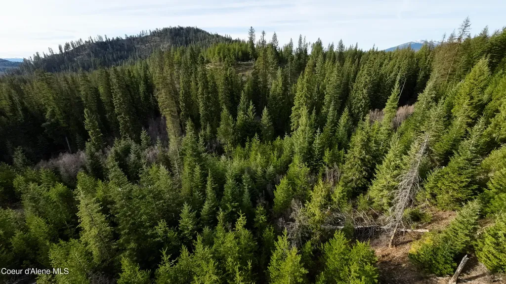 Nna Mud Gulch Priest River ID 83856