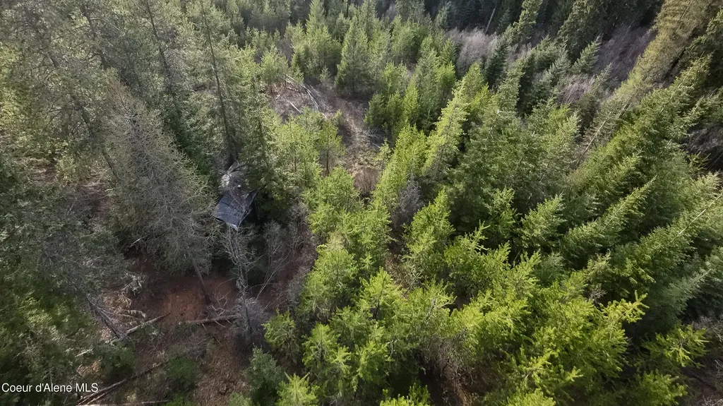 Nna Mud Gulch Priest River ID 83856