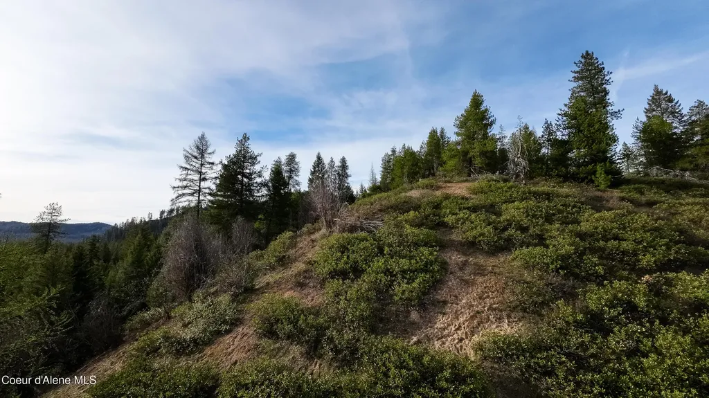 Nna Mud Gulch Priest River ID 83856