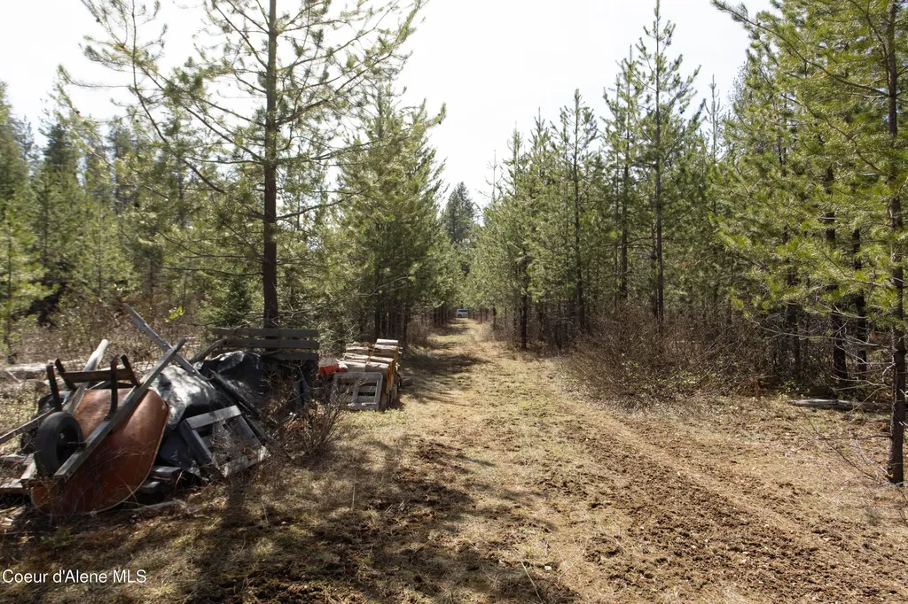 Nna Mud Gulch Priest River ID 83856