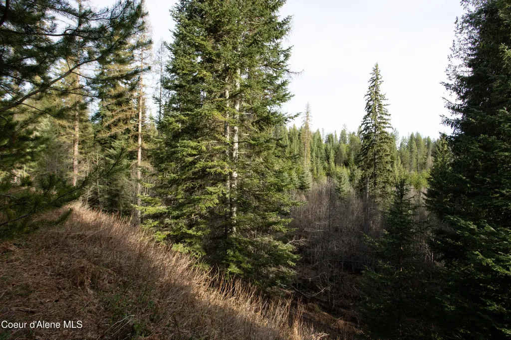 Nna Mud Gulch Priest River ID 83856