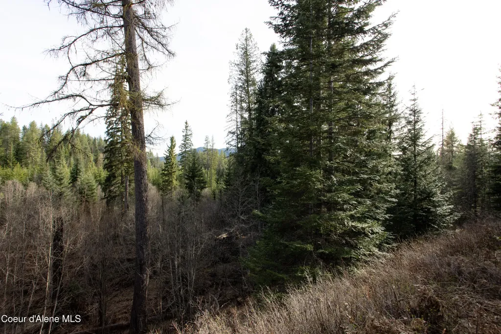 Nna Mud Gulch Priest River ID 83856