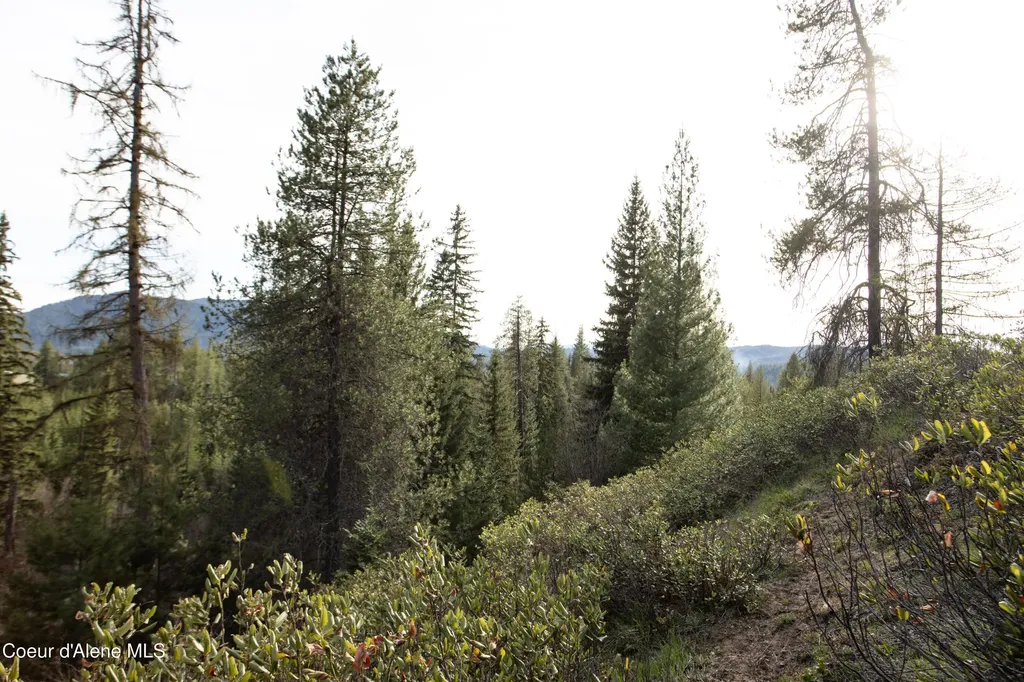 Nna Mud Gulch Priest River ID 83856