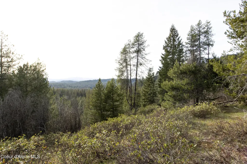 Nna Mud Gulch Priest River ID 83856