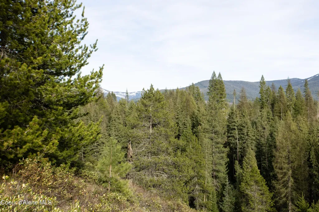 Nna Mud Gulch Priest River ID 83856