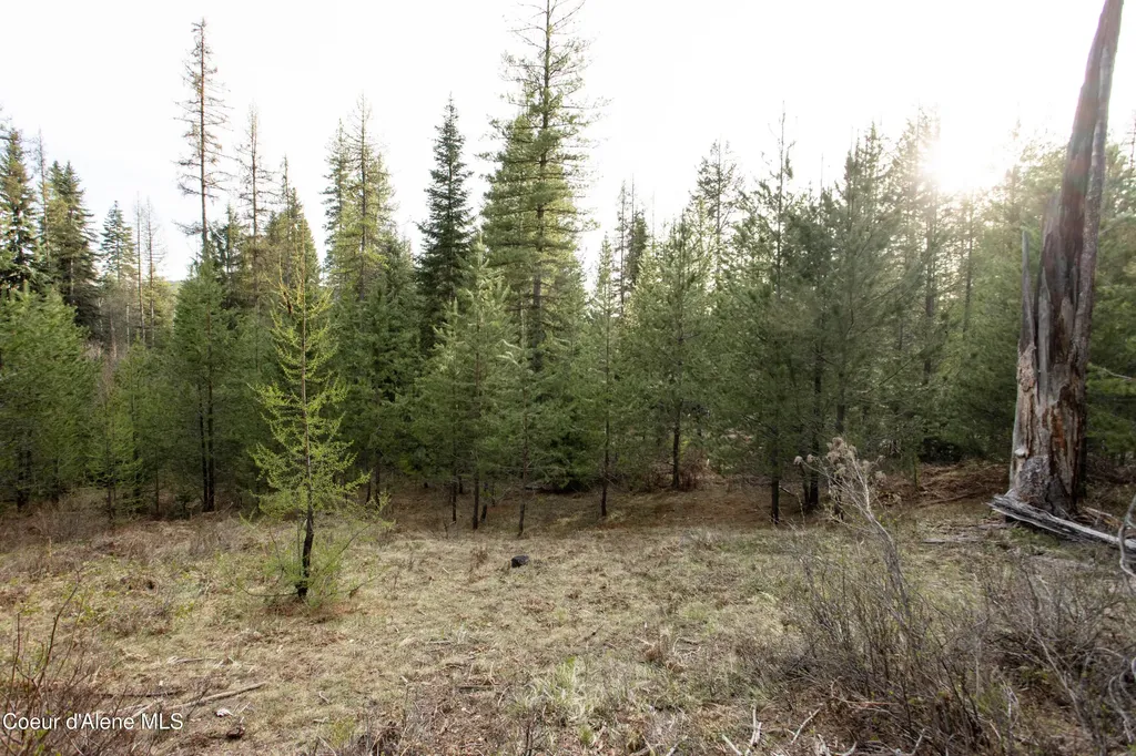 Nna Mud Gulch Priest River ID 83856
