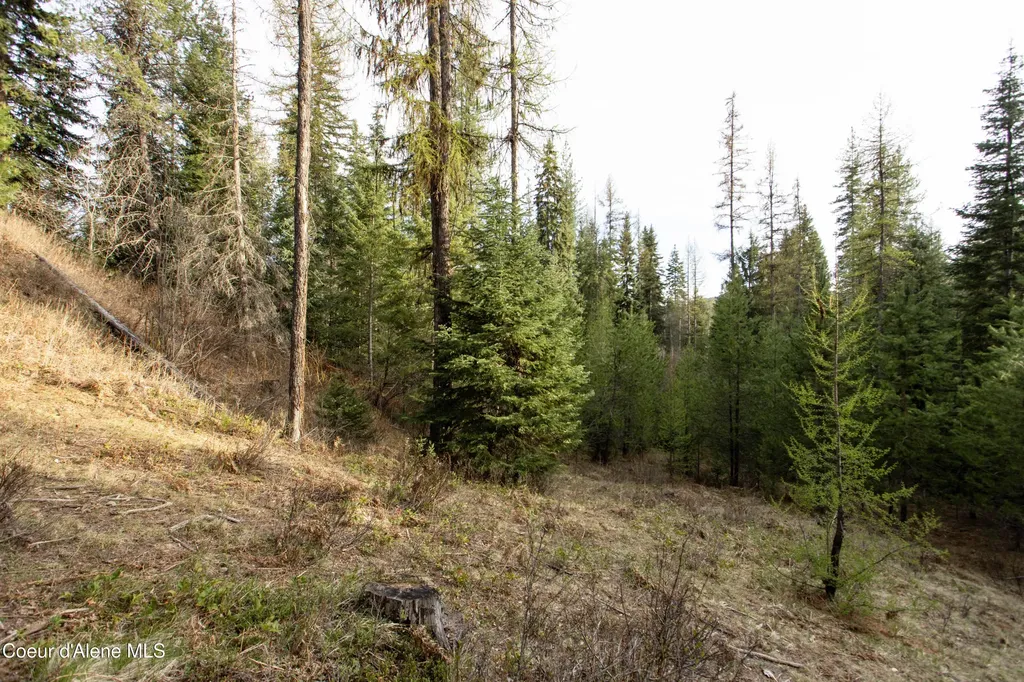 Nna Mud Gulch Priest River ID 83856
