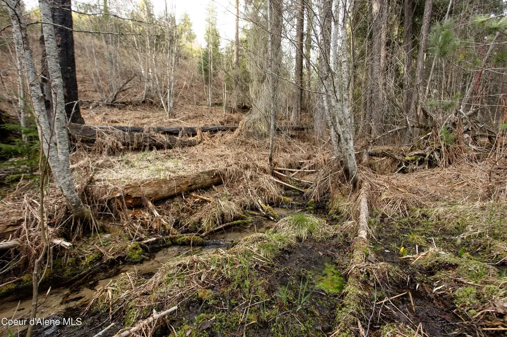 Nna Mud Gulch Priest River ID 83856