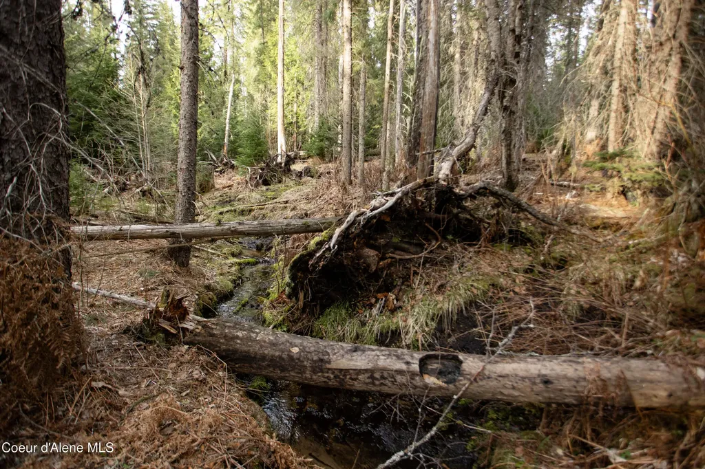Nna Mud Gulch Priest River ID 83856