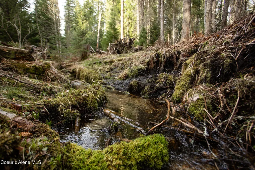 Nna Mud Gulch Priest River ID 83856