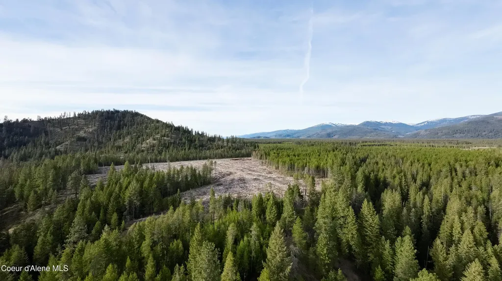 Nna Mud Gulch Priest River ID 83856