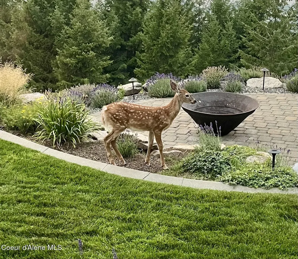 237 Scenic Drive Bonners Ferry ID 83805