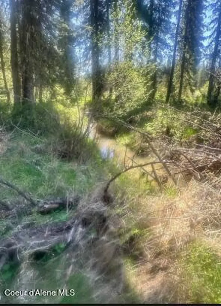 Nka Santa Creek Road St. Maries ID 83861