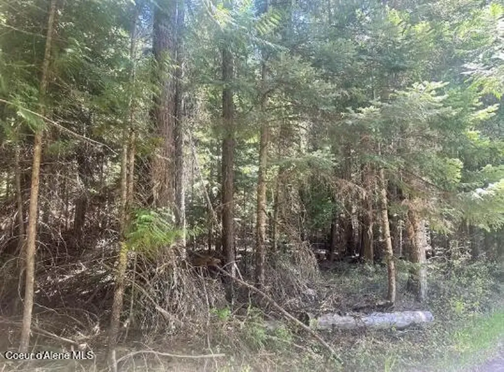 Nka Santa Creek Road St. Maries ID 83861