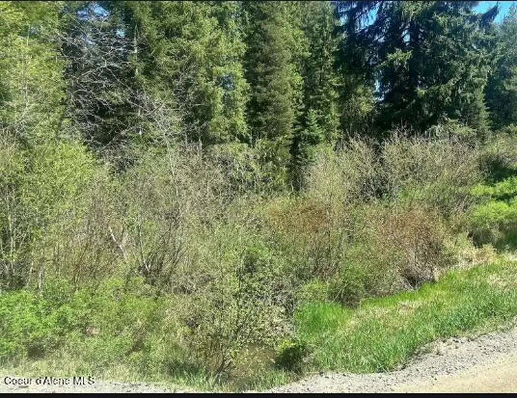 Nka Santa Creek Road St. Maries ID 83861