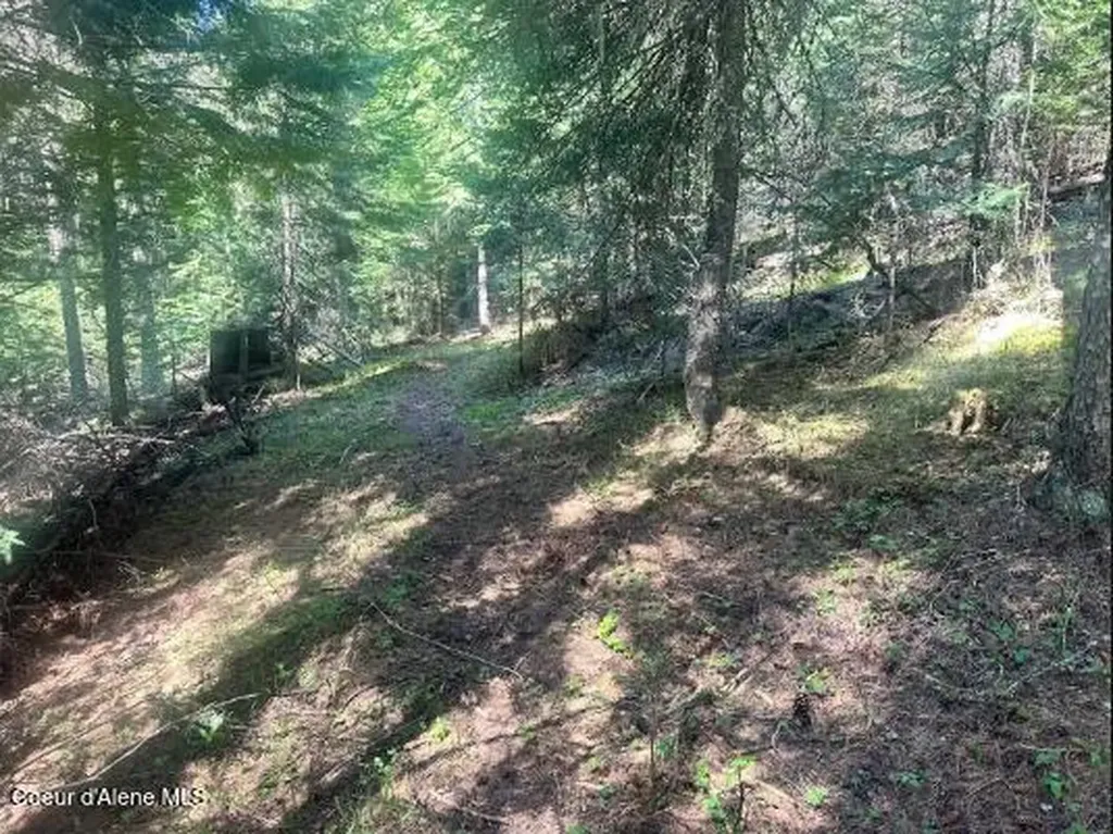 Nka Santa Creek Road St. Maries ID 83861