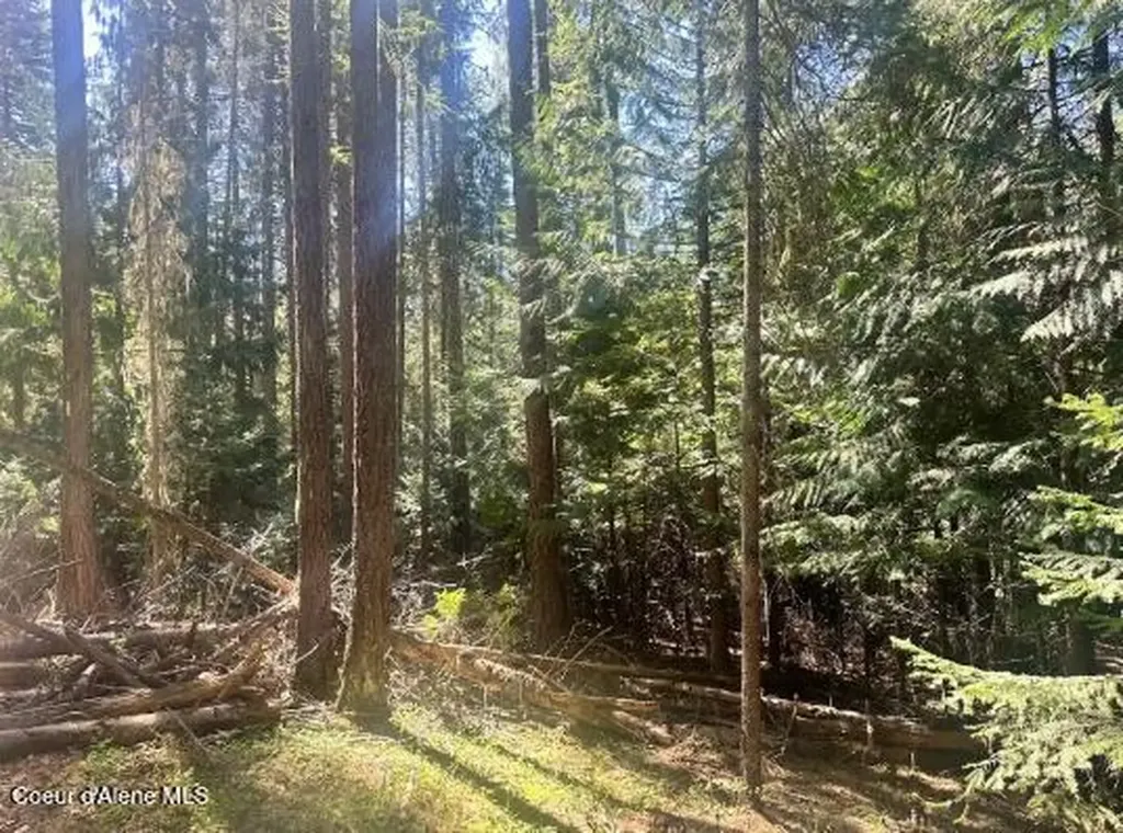Nka Santa Creek Road St. Maries ID 83861