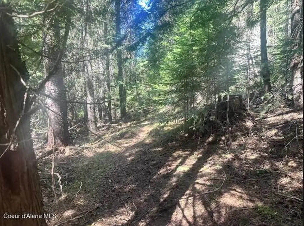 Nka Santa Creek Road St. Maries ID 83861