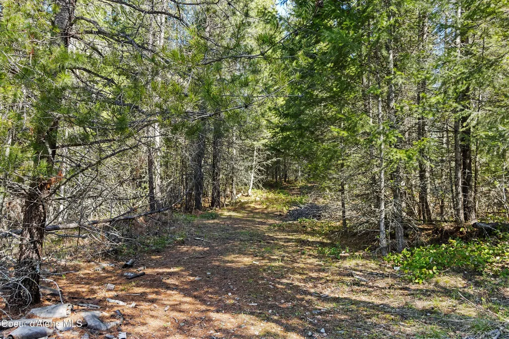 1169 Algoma Spur Road Sagle ID 83860