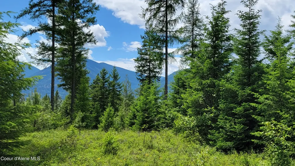 Nna Continental Lane-tract 1 Bonners Ferry ID 83805