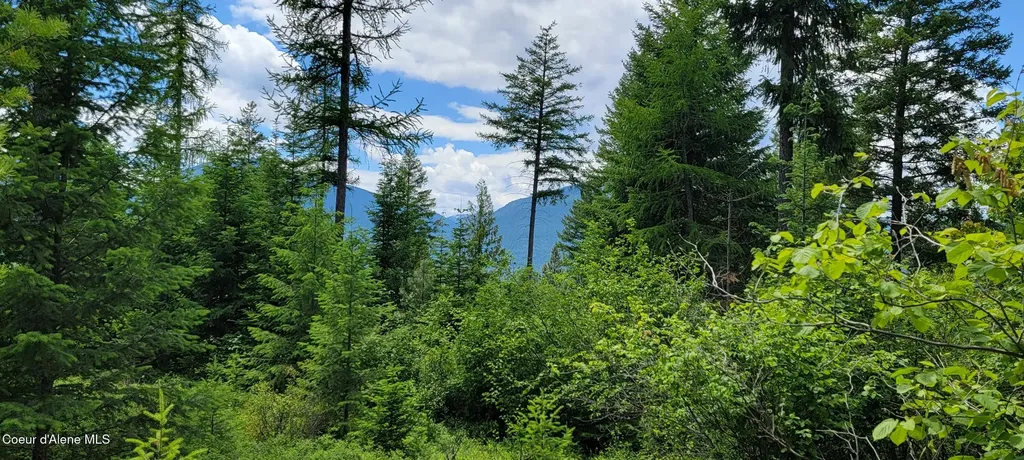 Nna Continental Lane-tract 1 Bonners Ferry ID 83805