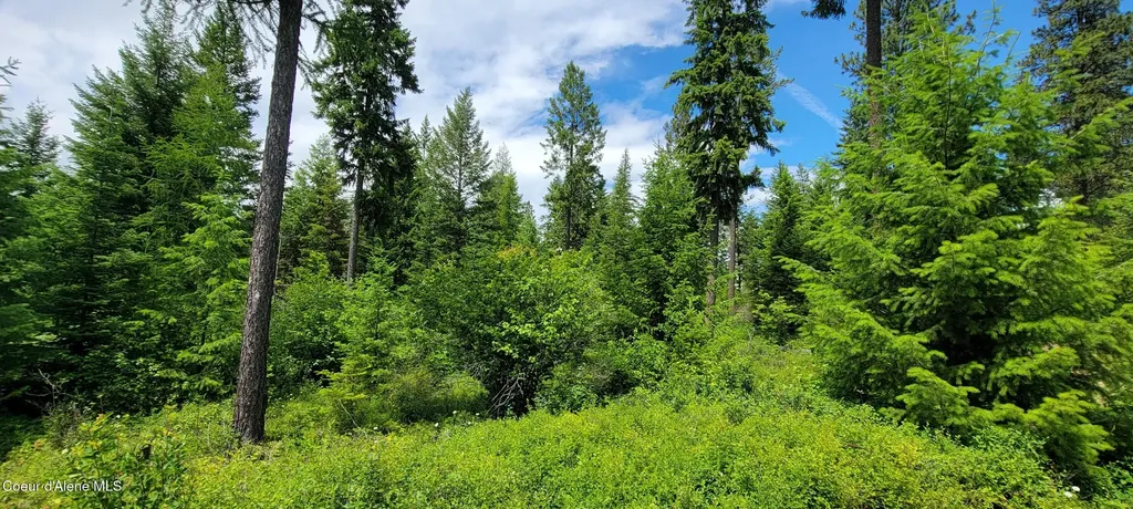 Nna Continental Lane-tract 1 Bonners Ferry ID 83805