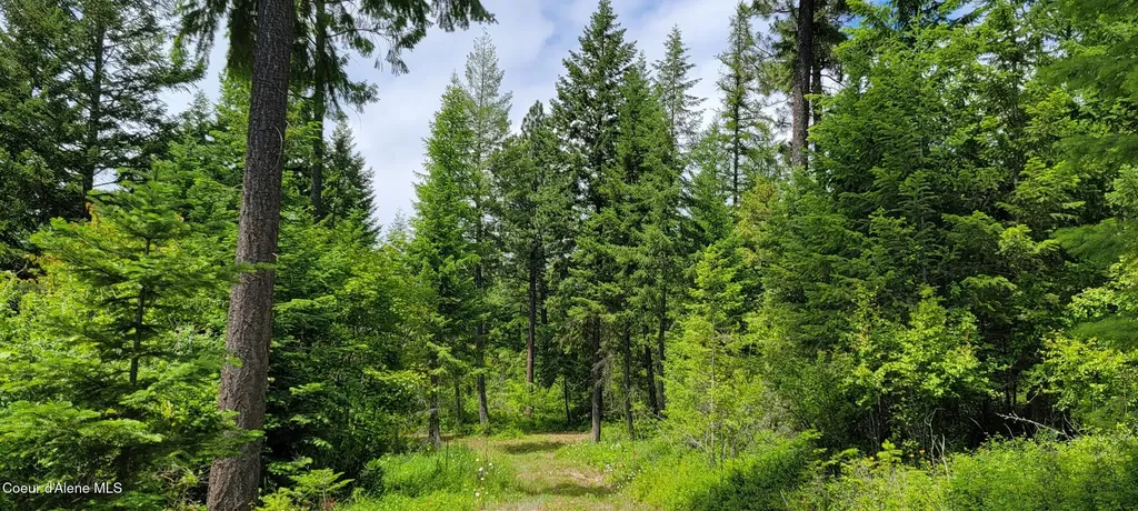 Nna Continental Lane-tract 1 Bonners Ferry ID 83805