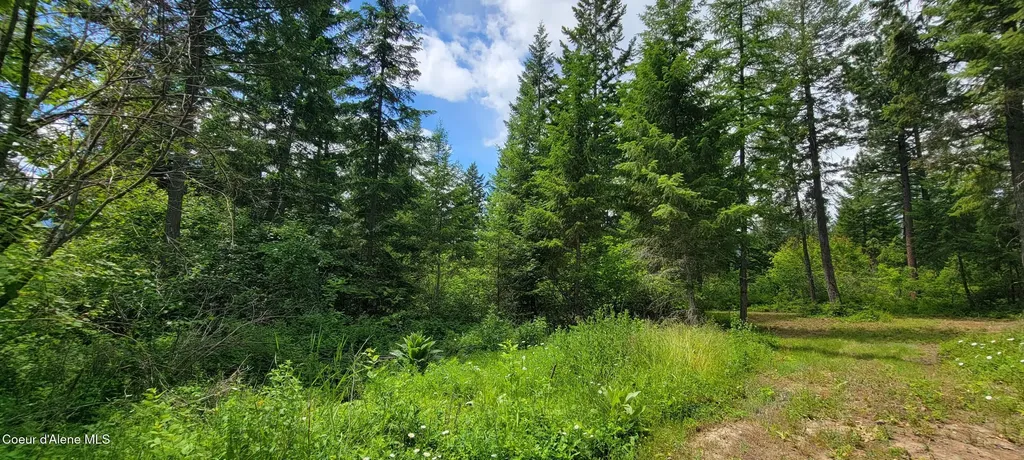 Nna Continental Lane-tract 1 Bonners Ferry ID 83805