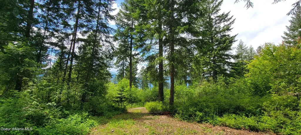 Nna Continental Lane-tract 1 Bonners Ferry ID 83805