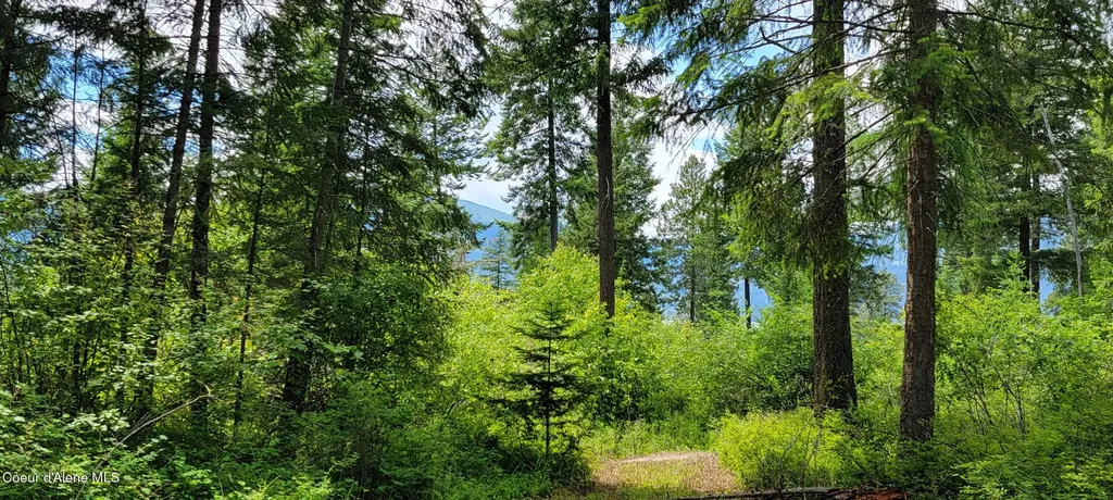 Nna Continental Lane-tract 1 Bonners Ferry ID 83805