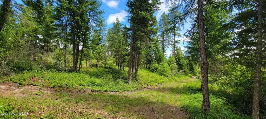 Nna Continental Lane-tract 1 Bonners Ferry ID 83805
