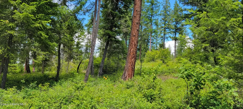 Nna Continental Lane-tract 1 Bonners Ferry ID 83805