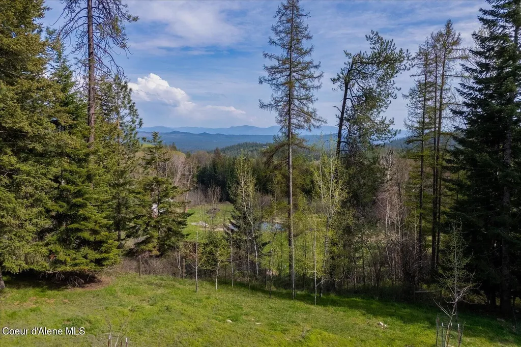 2872 Hoodoo Mountain Road Priest River ID 83856
