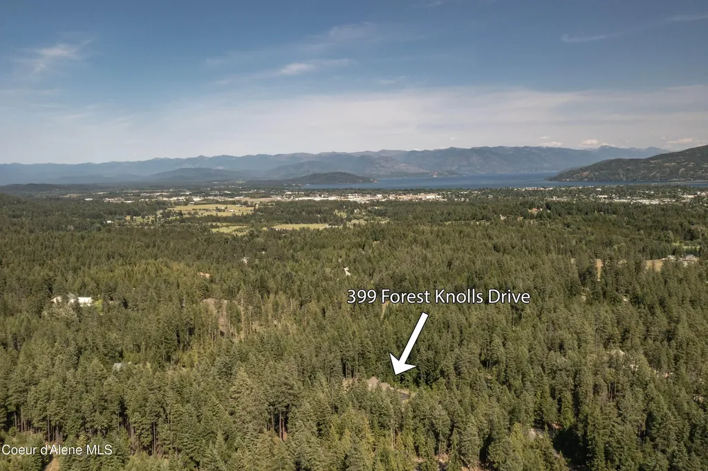 399 Forest Knolls Drive Sandpoint ID 83864