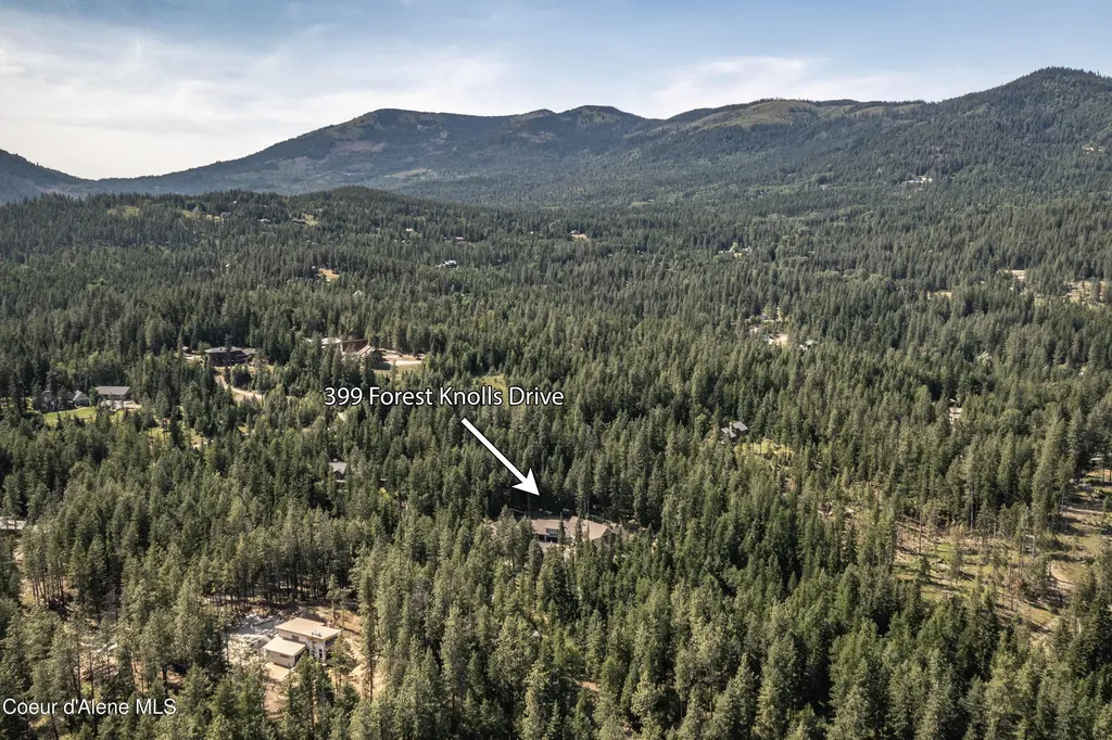 399 Forest Knolls Drive Sandpoint ID 83864
